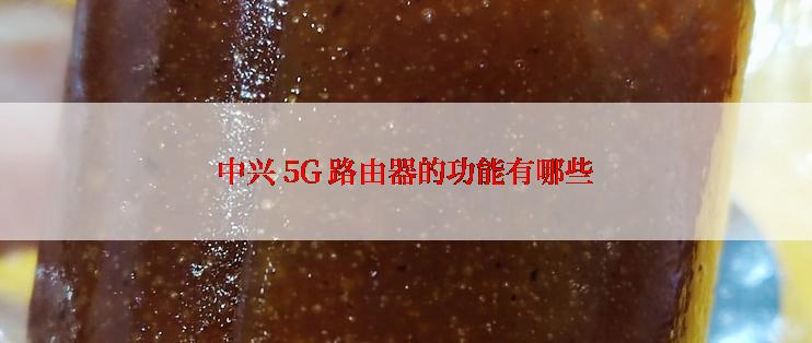 中兴 5G 路由器的功能有哪些