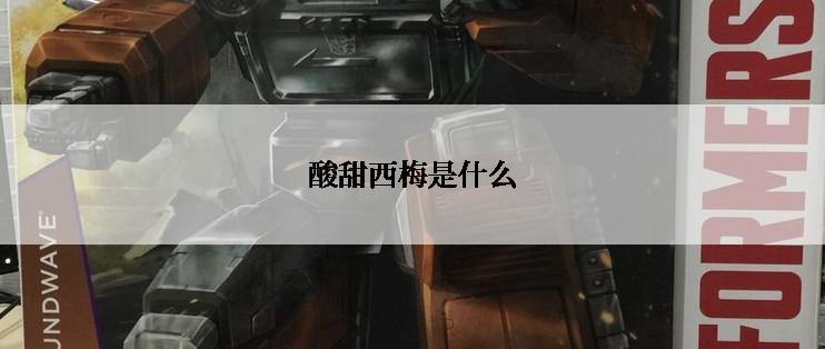 酸甜西梅是什么