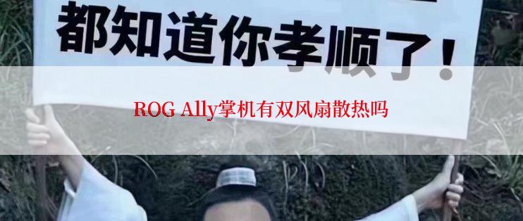 ROG Ally掌机有双风扇散热吗