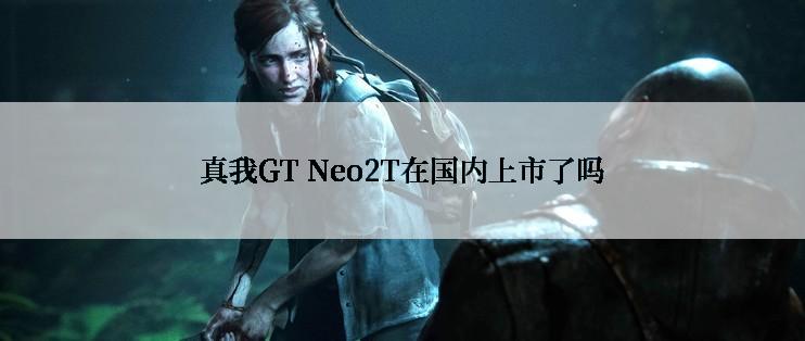 真我GT Neo2T在国内上市了吗