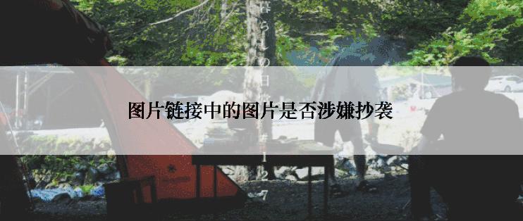 图片链接中的图片是否涉嫌抄袭