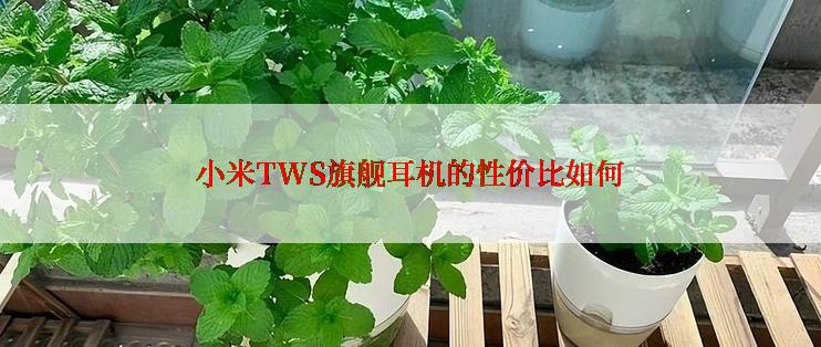 小米TWS旗舰耳机的性价比如何