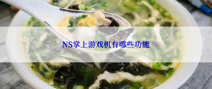 NS掌上游戏机有哪些功能