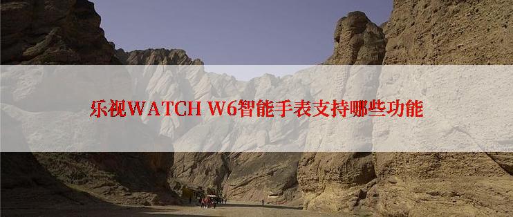 乐视WATCH W6智能手表支持哪些功能