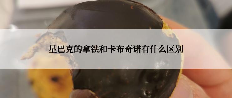 星巴克的拿铁和卡布奇诺有什么区别