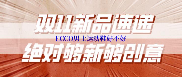 ECCO男士运动鞋好不好