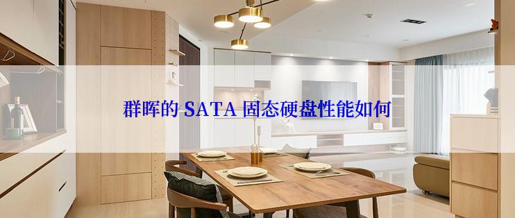 群晖的 SATA 固态硬盘性能如何