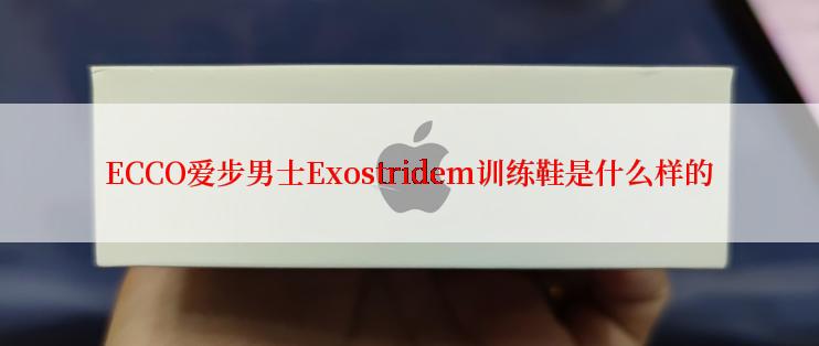 ECCO爱步男士Exostridem训练鞋是什么样的