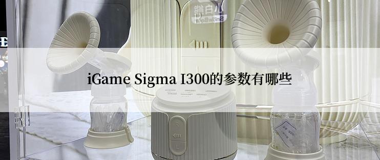 iGame Sigma I300的参数有哪些