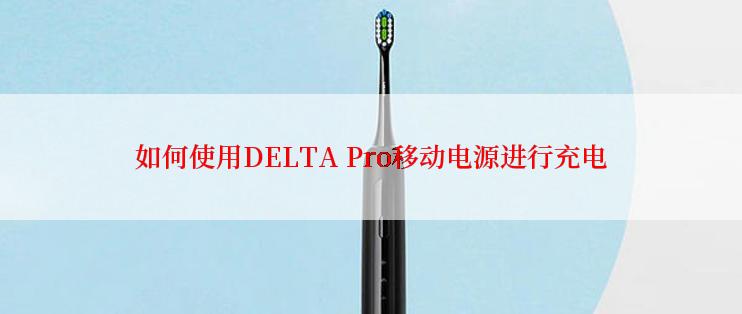 如何使用DELTA Pro移动电源进行充电