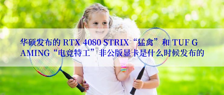 华硕发布的 RTX 4080 STRIX“猛禽”和 TUF GAMING“电竞特工”非公版显卡是什么时候发布的