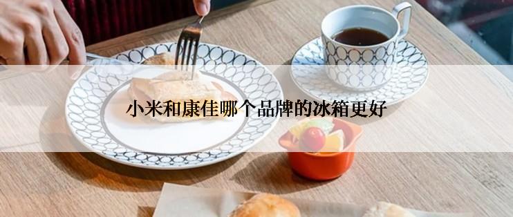 小米和康佳哪个品牌的冰箱更好