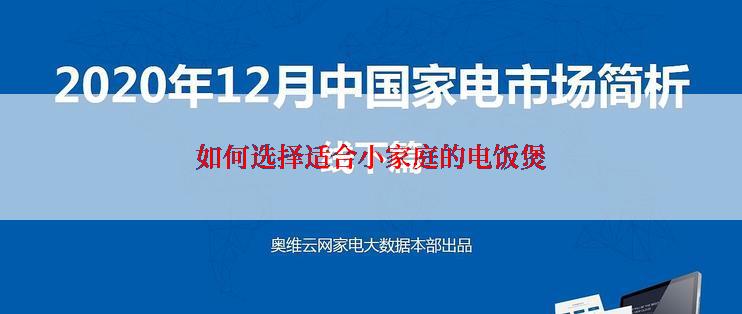 如何选择适合小家庭的电饭煲