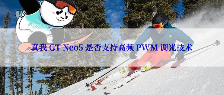 真我 GT Neo5 是否支持高频 PWM 调光技术