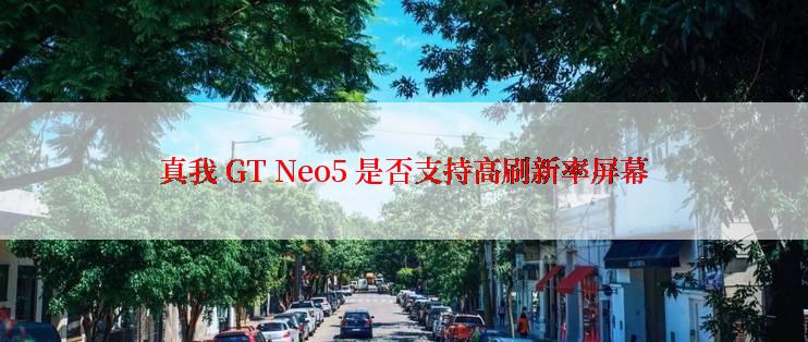 真我 GT Neo5 是否支持高刷新率屏幕