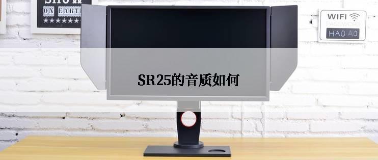 SR25的音质如何