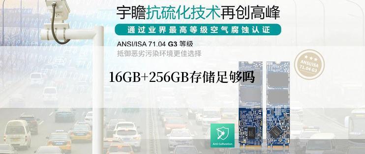 16GB+256GB存储足够吗