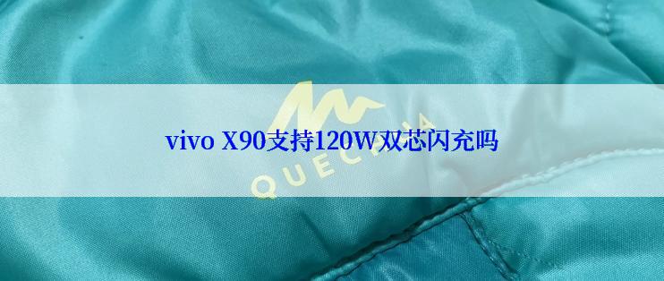 vivo X90支持120W双芯闪充吗