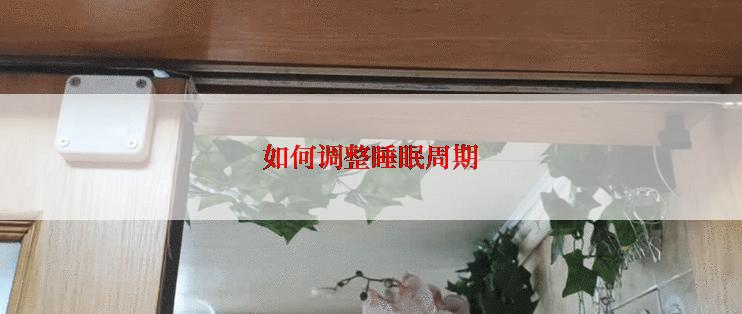 如何调整睡眠周期