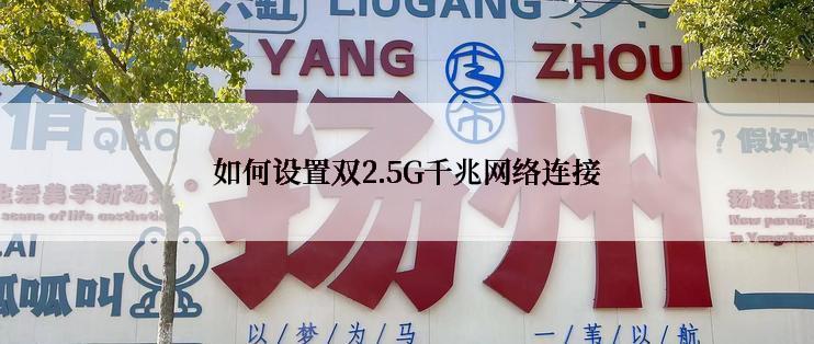 如何设置双2.5G千兆网络连接