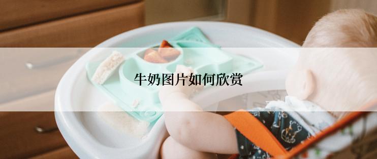 牛奶图片如何欣赏