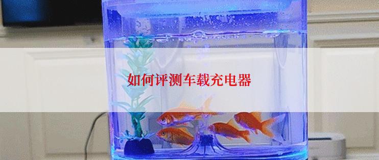 如何评测车载充电器