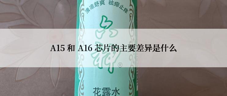 A15 和 A16 芯片的主要差异是什么