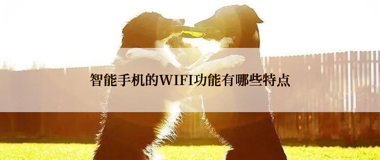 智能手机的WIFI功能有哪些特点