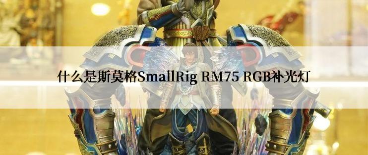 什么是斯莫格SmallRig RM75 RGB补光灯