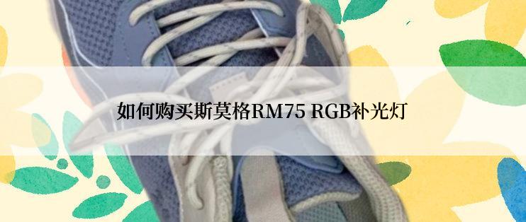 如何购买斯莫格RM75 RGB补光灯