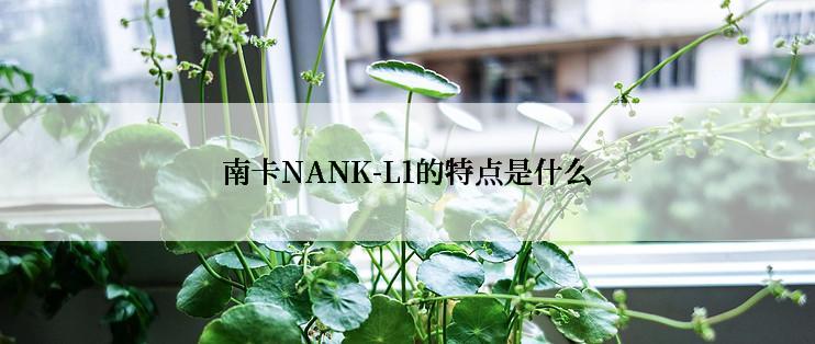 南卡NANK-L1的特点是什么