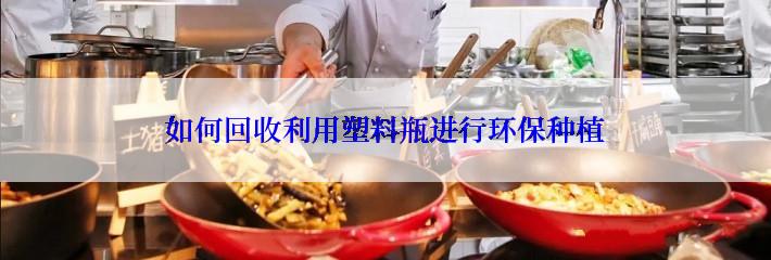 如何回收利用塑料瓶进行环保种植