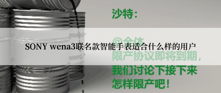 SONY wena3联名款智能手表适合什么样的用户