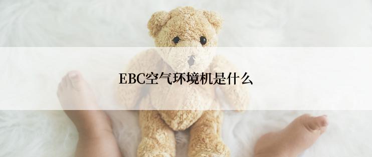 EBC空气环境机是什么