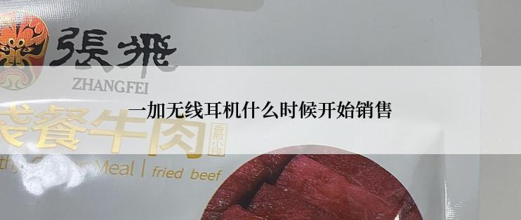 一加无线耳机什么时候开始销售