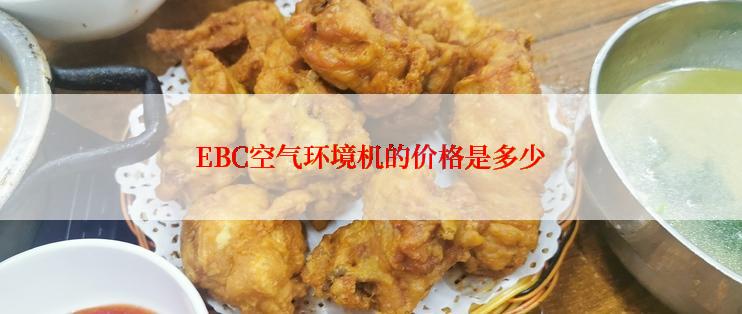 EBC空气环境机的价格是多少