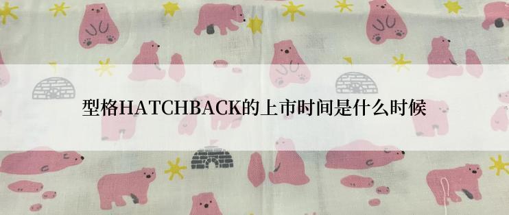 型格HATCHBACK的上市时间是什么时候