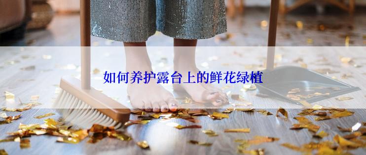 如何养护露台上的鲜花绿植