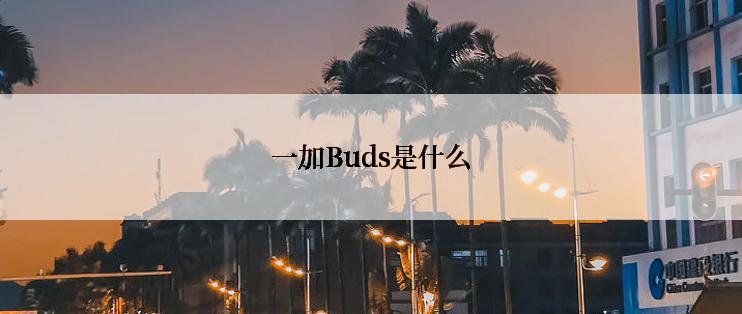 一加Buds是什么