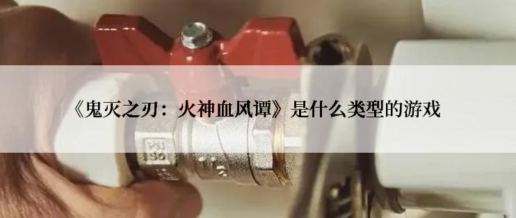 《鬼灭之刃：火神血风谭》是什么类型的游戏