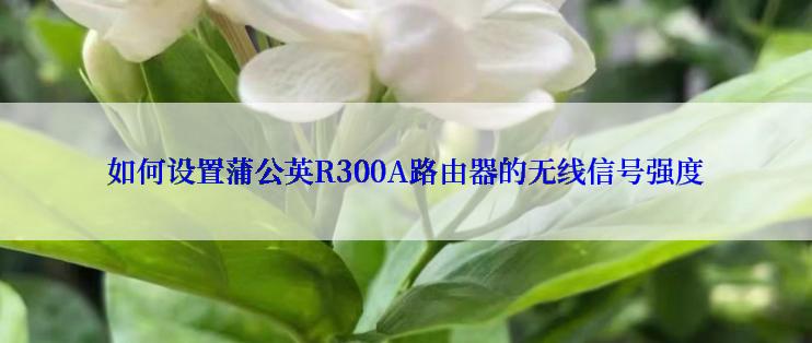 如何设置蒲公英R300A路由器的无线信号强度