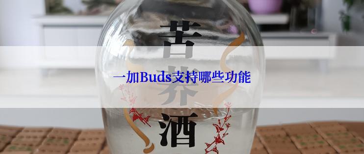 一加Buds支持哪些功能