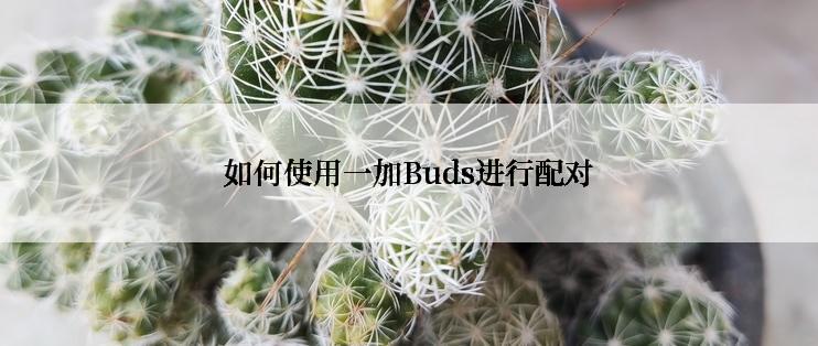 如何使用一加Buds进行配对