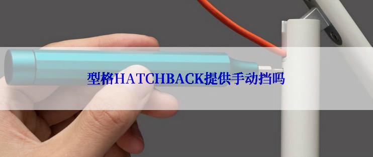 型格HATCHBACK提供手动挡吗