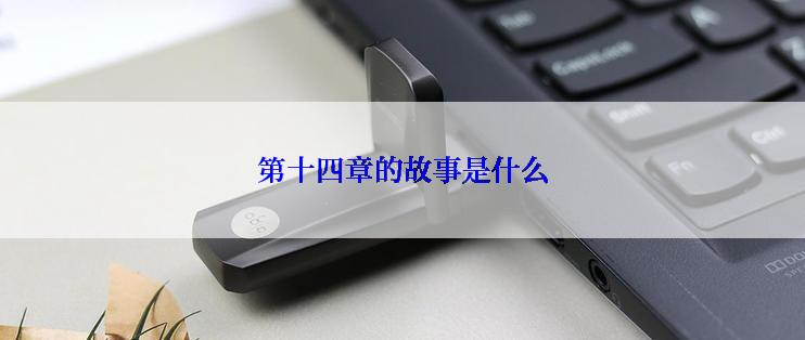 第十四章的故事是什么