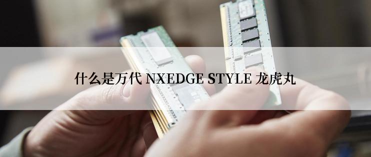 什么是万代 NXEDGE STYLE 龙虎丸