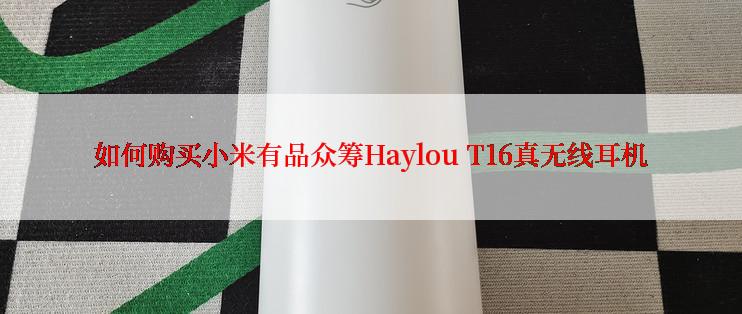 如何购买小米有品众筹Haylou T16真无线耳机