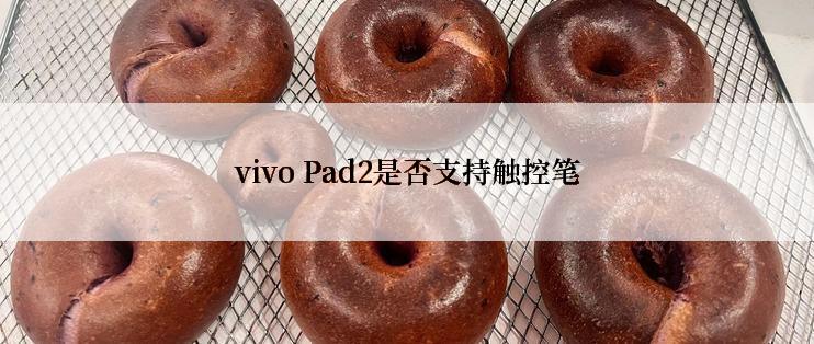 vivo Pad2是否支持触控笔