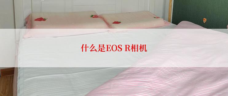 什么是EOS R相机