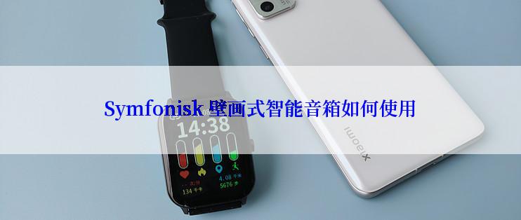 Symfonisk 壁画式智能音箱如何使用